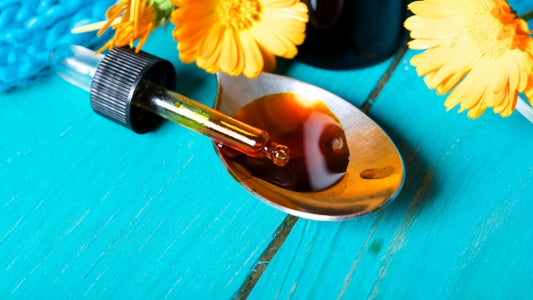 How to Make Calendula Tincture at Home