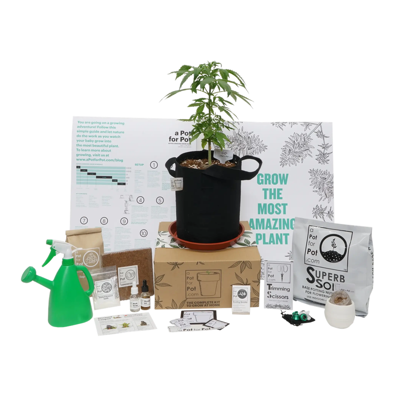 Compact Indoor Grow Tent Set and Complete Mini Home Grow Kit Extract Craft