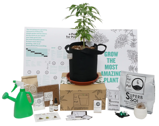 The Extractor Grow Kit (2 gallon)