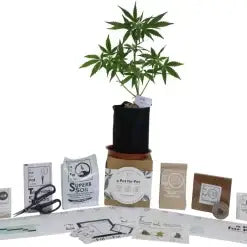 The Extractor Grow Kit (1/2 Gallon)-Extract Craft