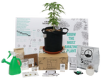 The Extractor Grow Kit (2 gallon)-Extract Craft