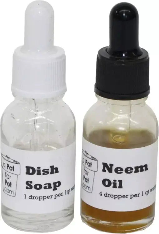 The Extractor Grow Kit (1/2 Gallon)-Extract Craft