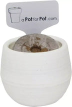 The Extractor Grow Kit (2 gallon)-Extract Craft