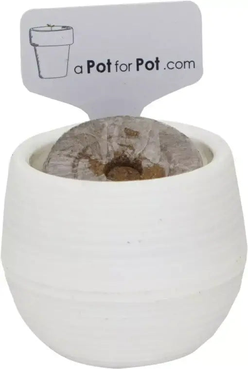 The Extractor Grow Kit (2 gallon)-Extract Craft