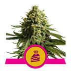 The Ultimate Grower Bundle-wedding cake-24" x 24" x 48" Tent-Extract Craft